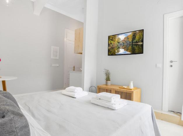 Apartment Historical Charm *